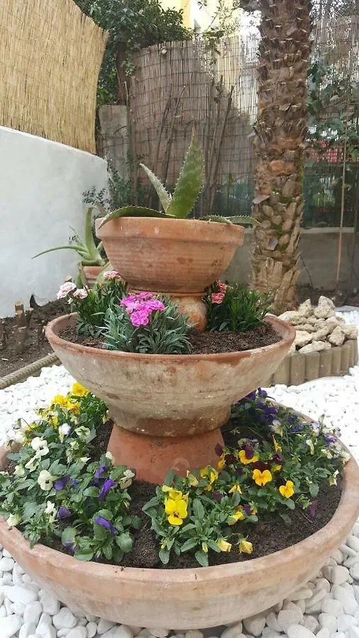 Dai Profeti B&B Cecina  0*, Cecina (Livorno) Italy