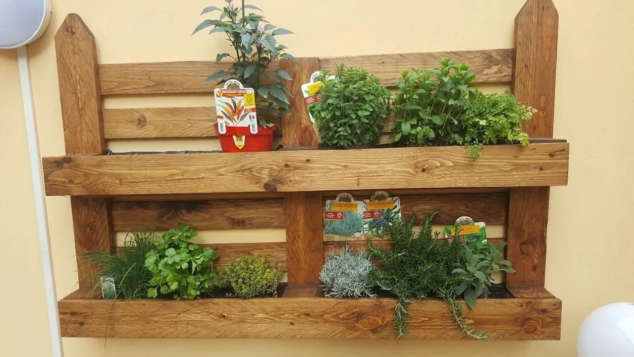 Dai Profeti B&B Cecina  Cecina (Livorno)
